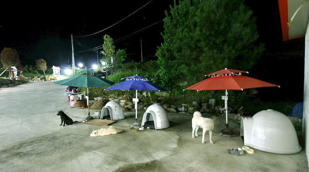 Ever Green Pension Geoje Exterior foto